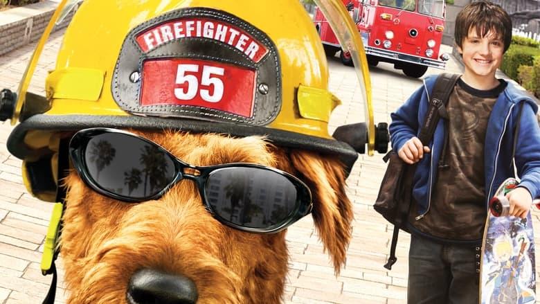 Firehouse Dog image