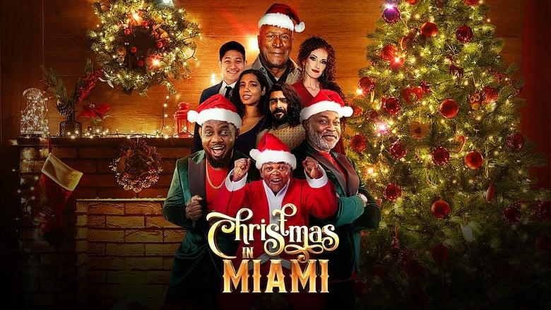 Christmas in Miami image