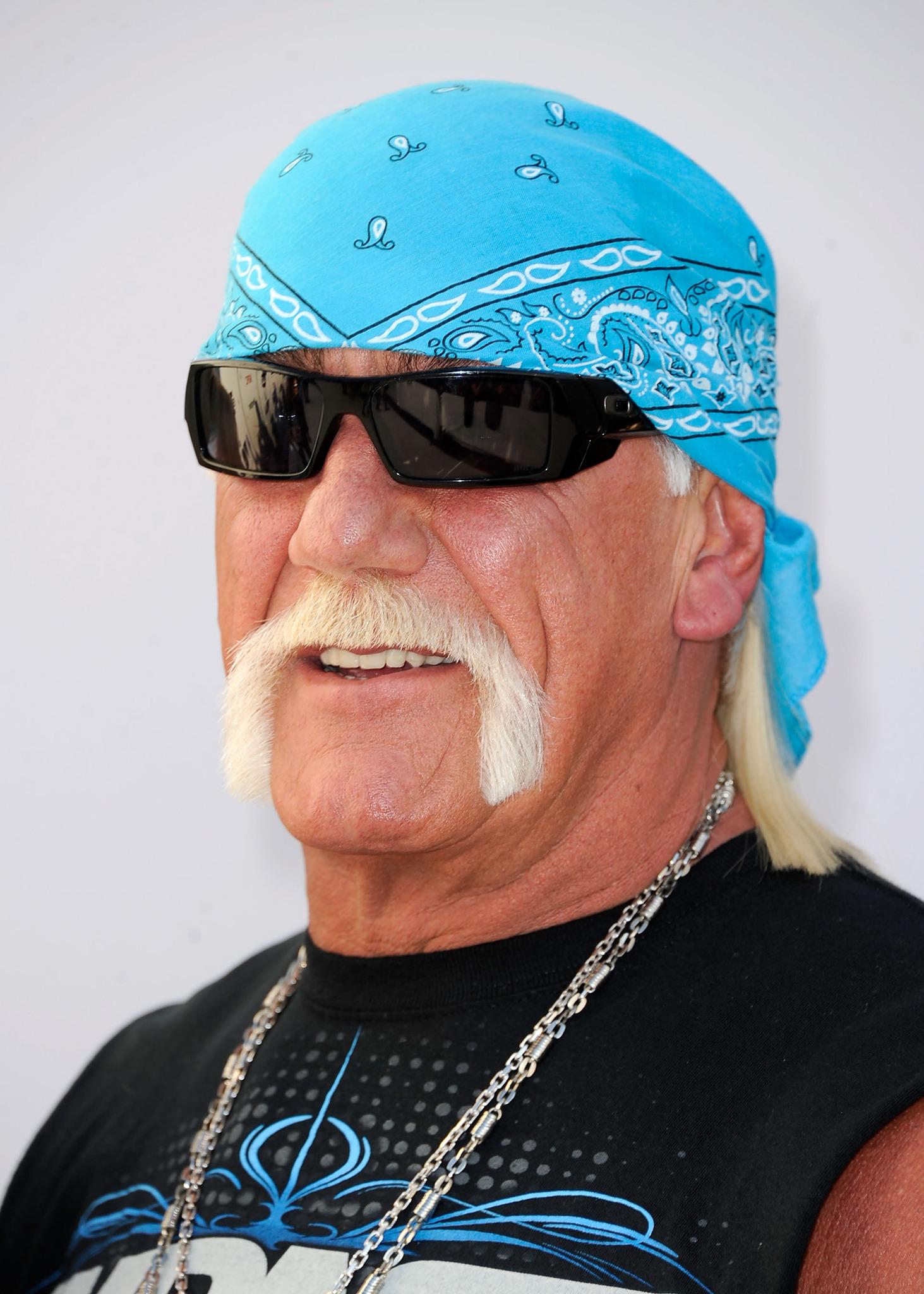 Hulk Hogan image