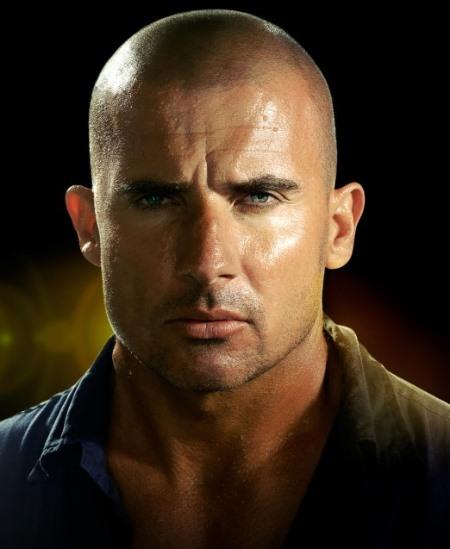 Dominic Purcell image