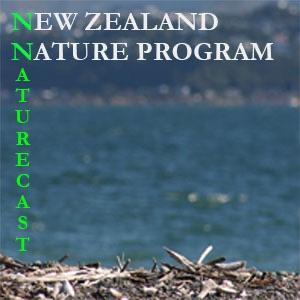 New Zealand Nature Program Naturecast image