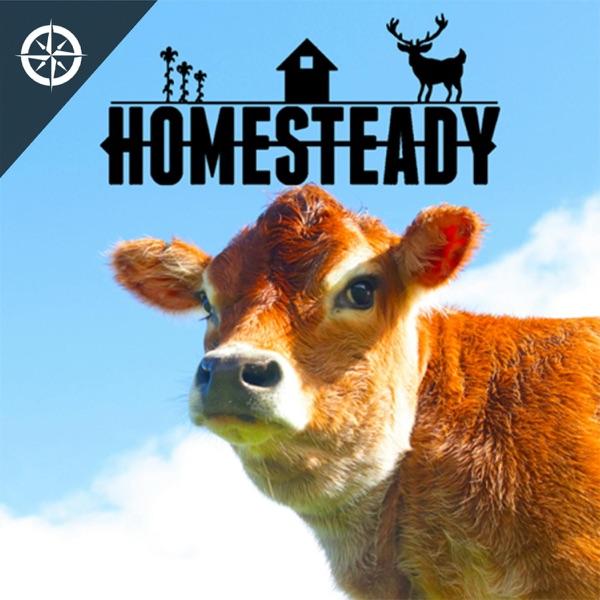 Homesteady - Stories of Living off the Land image