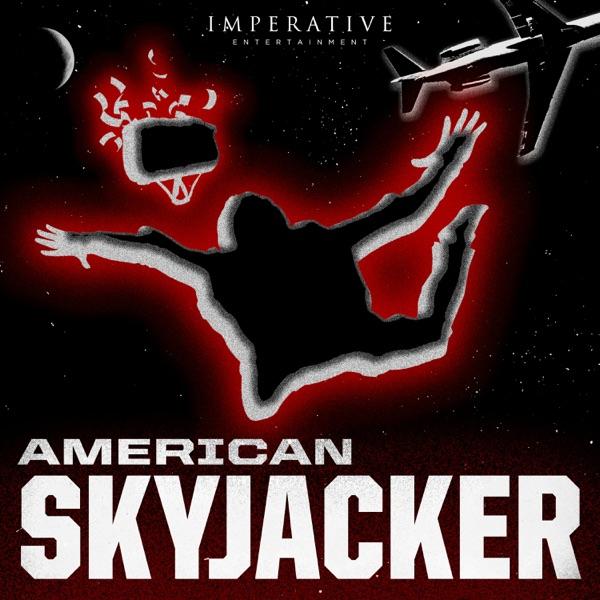 American Skyjacker: The Final Flight of Martin McNally image