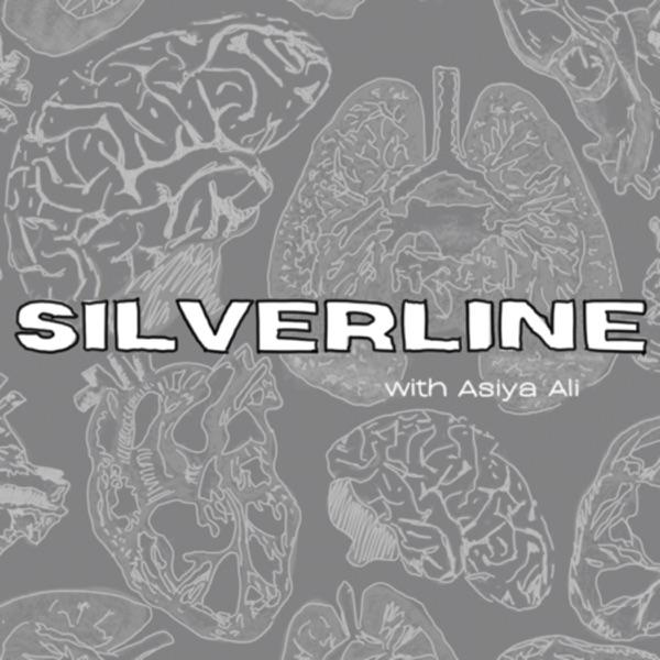 silverline image