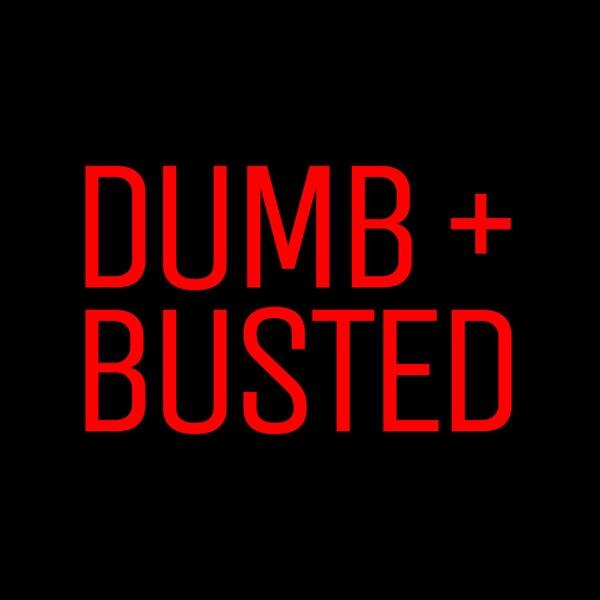 Dumb and Busted image