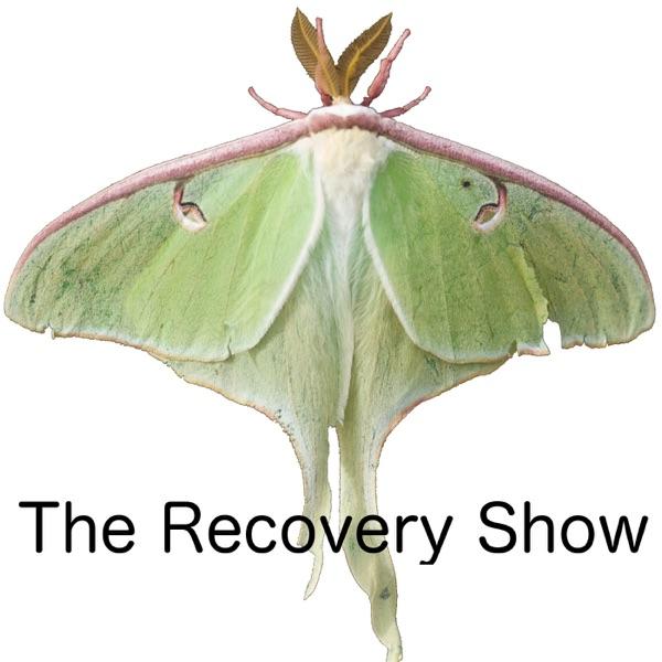 The Recovery Show » Finding serenity through 12 step recovery in Al-Anon – a podcast image
