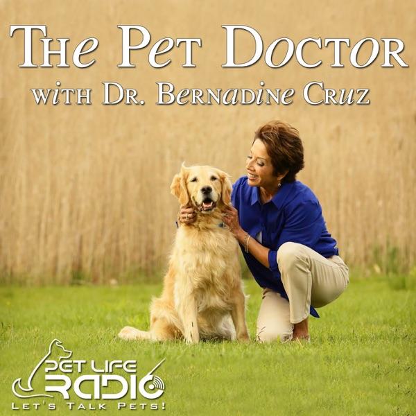 The Pet Doctor - Keeping your pets healthy & pet wellness - Pets & Animals on Pet Life Radio (PetLifeRadio.com) image