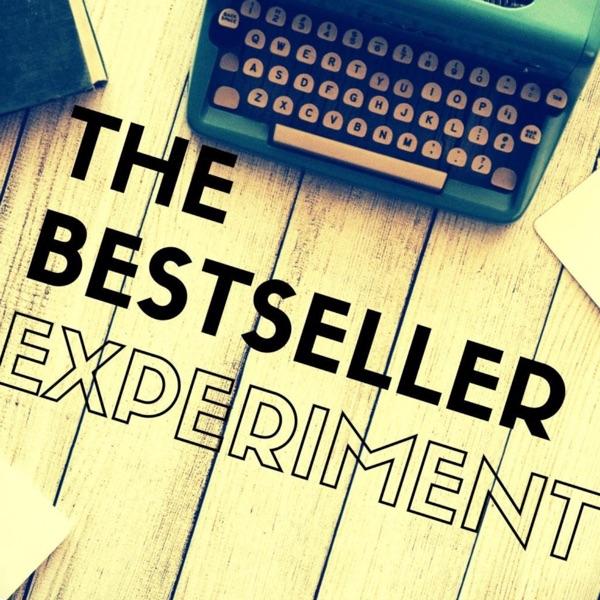 The Bestseller Experiment image