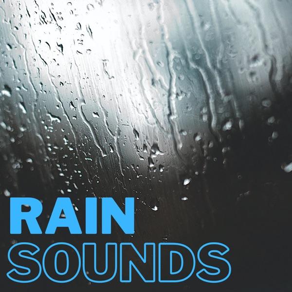 Rain Sounds image