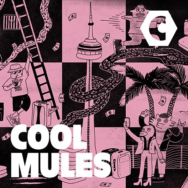 Cool Mules image