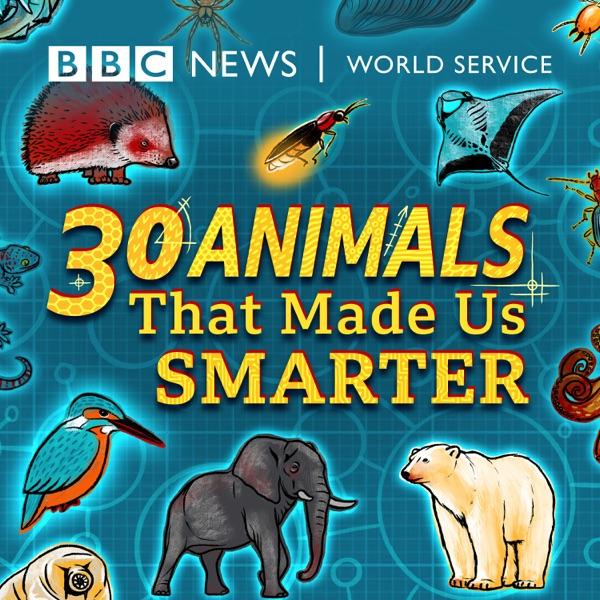 30 Animals That Made Us Smarter image