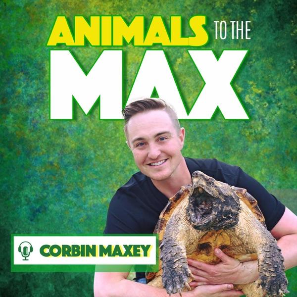 Animals To The Max Podcast image