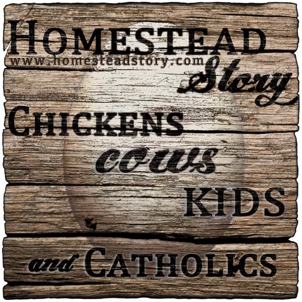 Homestead Story - Chickens, Cows, Kids, and Catholics image