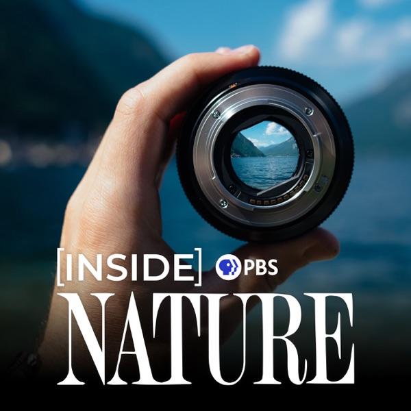 Inside NATURE on PBS image
