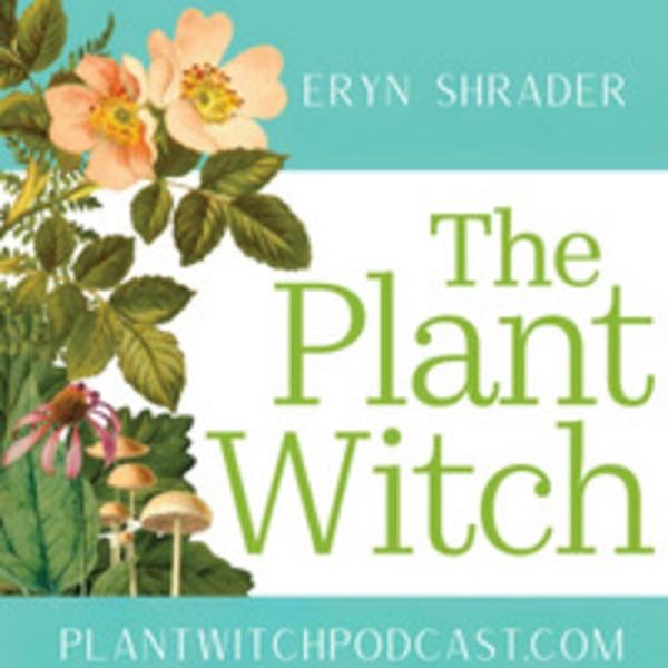 Plant Witch image