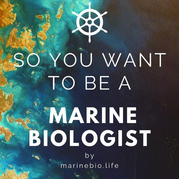 So You Want to Be a Marine Biologist image