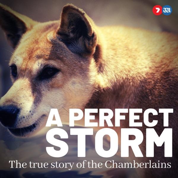 A Perfect Storm: The True Story of The Chamberlains
