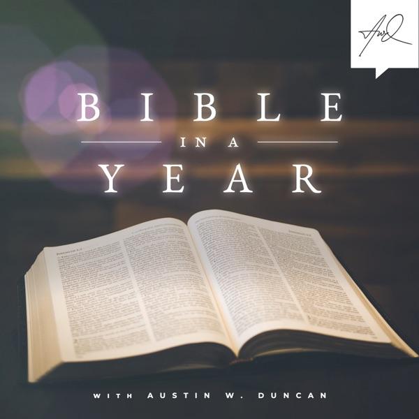 Bible In A Year image
