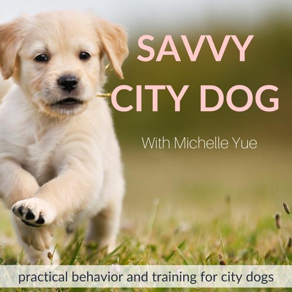Dog & Puppy Training | Savvy City Dog image