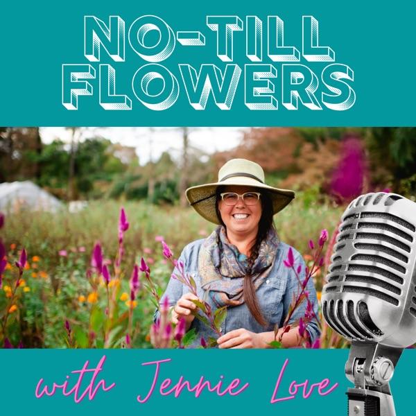 The No-Till Flowers Podcast image
