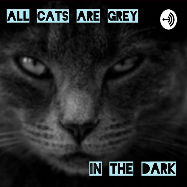 All Cats Are Grey In The Dark image