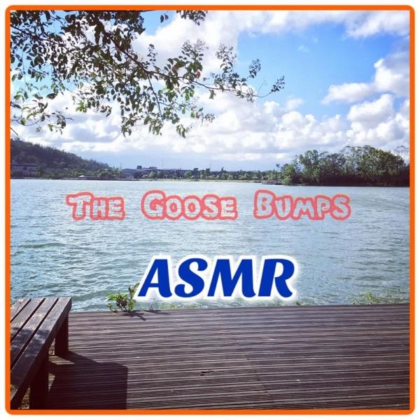 The Goose Bumps ASMR "G皮疙瘩" image