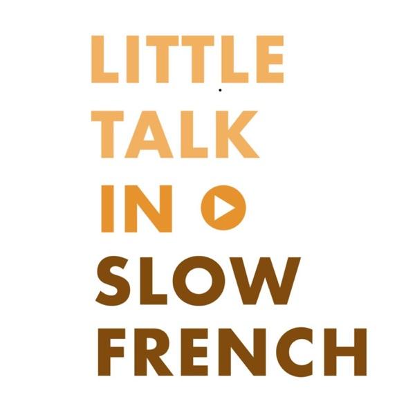 Little Talk in Slow French: Learn French through conversations image
