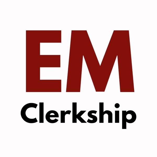 EM Clerkship image