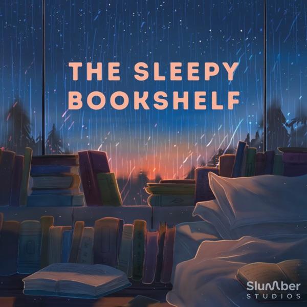 The Sleepy Bookshelf image