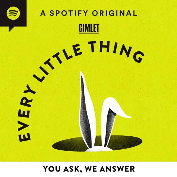 Every Little Thing image