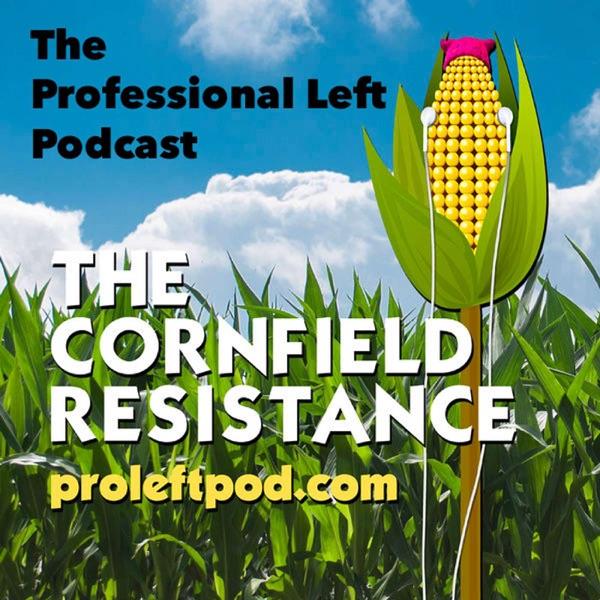 The Professional Left Podcast with Driftglass and Blue Gal image