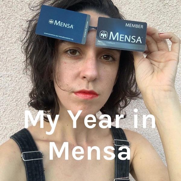 My Year in Mensa image