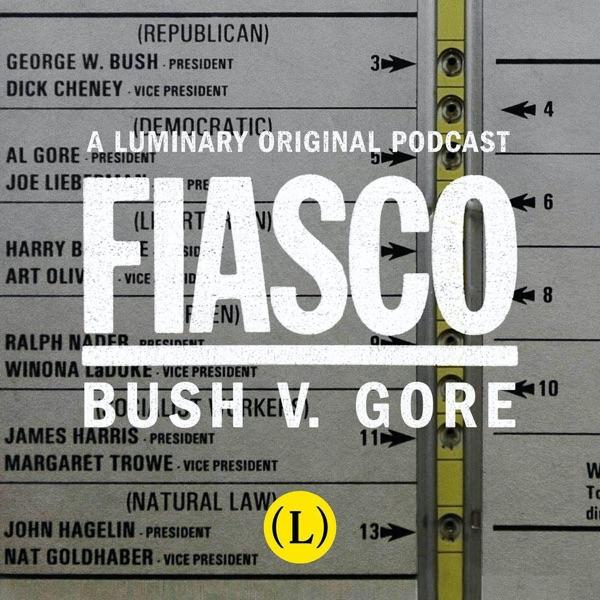 Fiasco: Bush v. Gore image