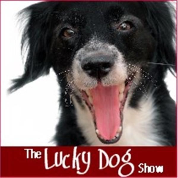 Lucky Dog Show - Fun Unleashed