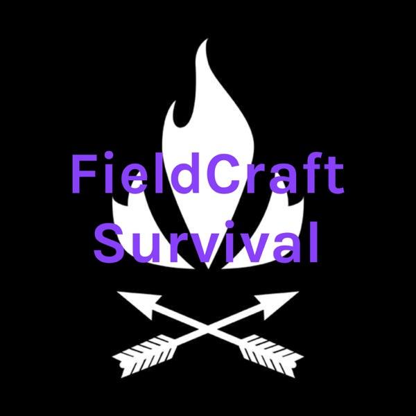 FieldCraft Survival