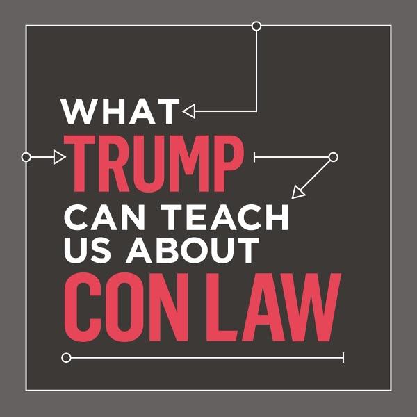 What Trump Can Teach Us About Con Law image