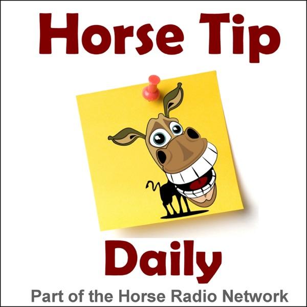 Horse Tip Daily