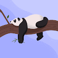 Panda profile photo