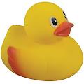 Ducky profile photo