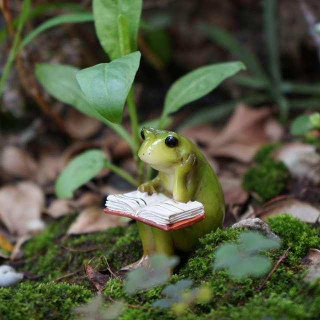 bookfrog profile photo