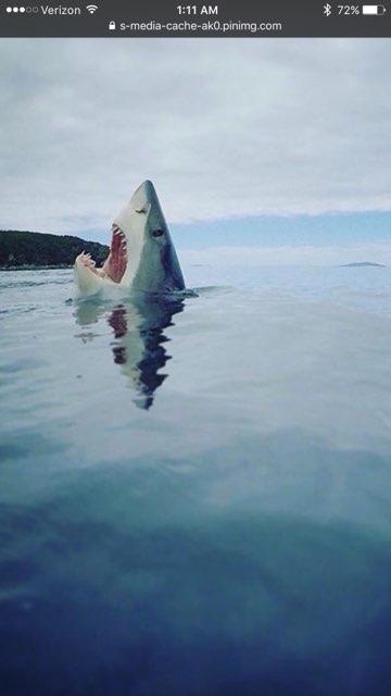 Sharkattak profile photo