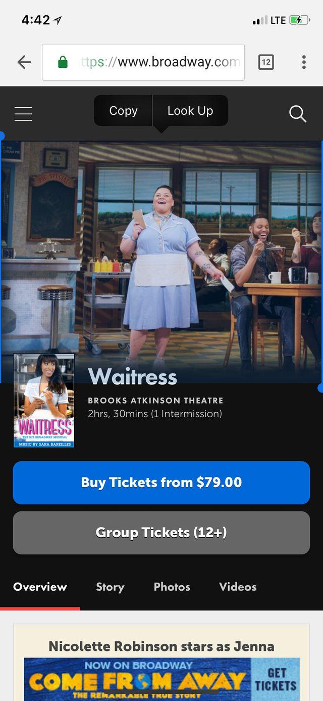 Waitress: A New Musical | Official Broadway Site
